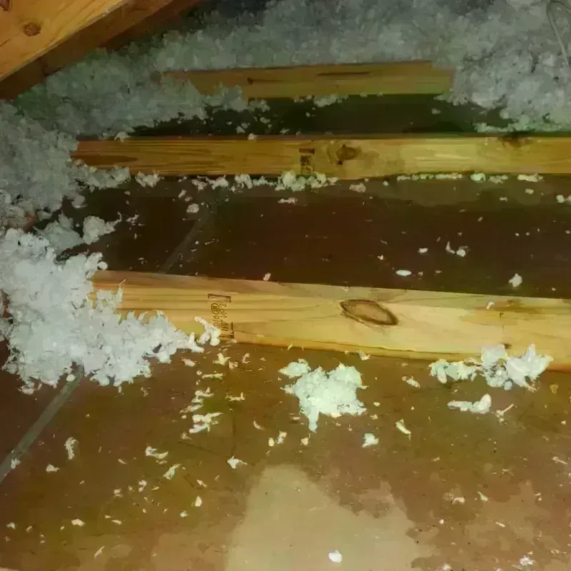 Attic Water Damage in Dannemora, NY